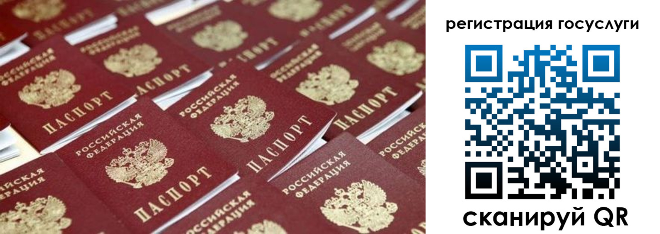прописка ребенка в Пестово